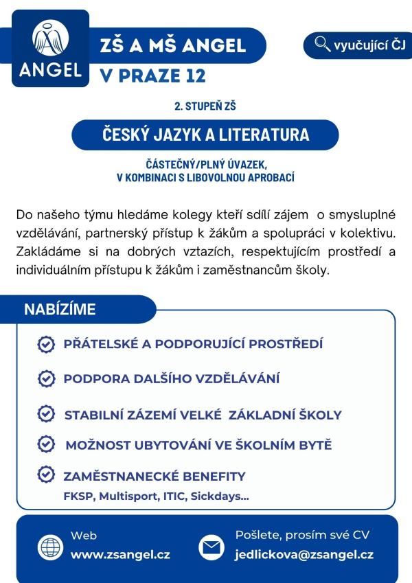 VYUČUJÍCÍ ČESKÉHO JAZYKA A LITERATURY