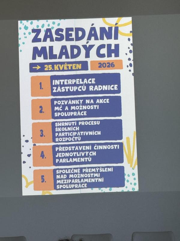 Zasedání mladých