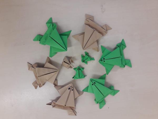 Origami v ŠD 3.D